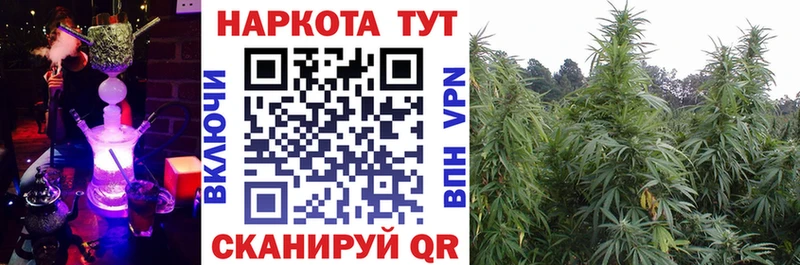 Купить закладку Alpha PVP  Мефедрон  АМФ  Гашиш  Новочебоксарск