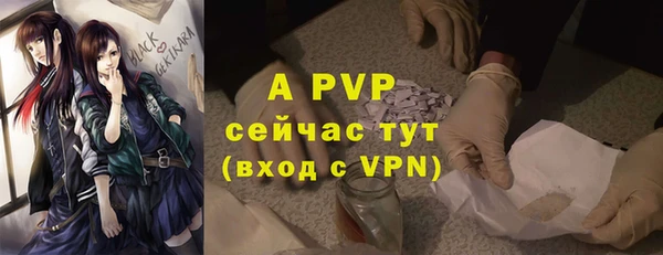 сатива Дмитровск