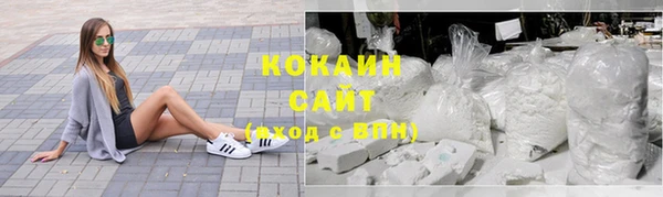 сатива Дмитровск