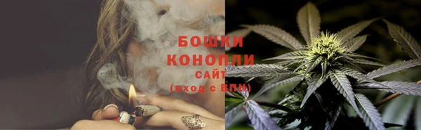 сатива Дмитров
