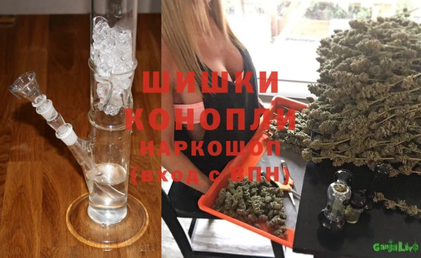 сатива Дмитров