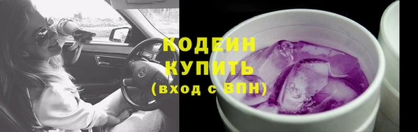 сатива Дмитровск