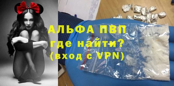сатива Дмитровск