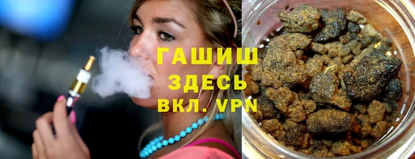 сатива Дмитровск